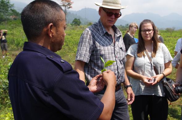 Foto 1: Prof. Dr. Znoj und Studierende zu Besuch auf der Teeplantage. Foto: Simon Weber