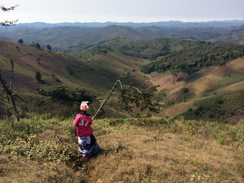 Hilly area in Kilolo District, Tanzania, showing forest plantations and grabbed bottom-valley land (picture by Désirée Gmür)